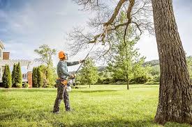 Best Pest Control for Lawns  in Sea Ranch, CA