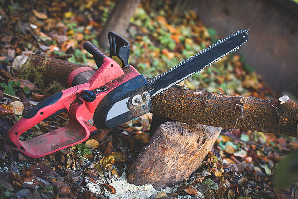 Best Hazardous Tree Removal  in Sea Ranch, CA